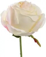 Pure Royal kunsttak roos 54cm crème - afbeelding 1