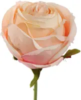Pure Royal kunsttak roos 54cm peach - afbeelding 1
