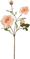 Pure Royal kunsttak roos 65cm crème roze - afbeelding 1