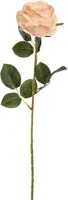 Pure Royal kunsttak roos 70cm perzik - afbeelding 1