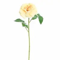 Pure Royal kunsttak roos 78cm geel - afbeelding 1