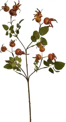 Pure Royal kunsttak rozenbottel 68cm oranje - afbeelding 1