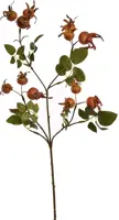 Pure Royal kunsttak rozenbottel 68cm oranje - afbeelding 1