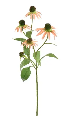 Pure Royal kunsttak rudbeckia 75cm perzik - afbeelding 1
