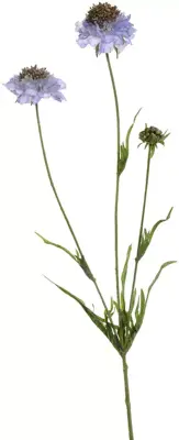 Pure Royal kunsttak scabiosa 66cm blauw - afbeelding 1