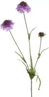 Pure Royal kunsttak scabiosa 66cm paars - afbeelding 1