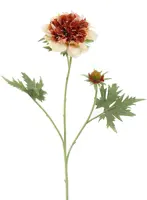 Pure Royal kunsttak scabiosa 79cm amber - afbeelding 1