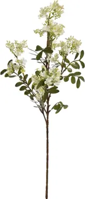 Pure Royal kunsttak sering 85cm crème - afbeelding 1