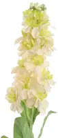 Pure Royal kunsttak stock flower 80cm vanille - afbeelding 2