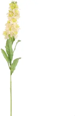 Pure Royal kunsttak stock flower 80cm vanille - afbeelding 1