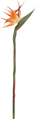 Pure Royal kunsttak strelitzia 58cm oranje - afbeelding 1