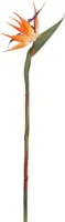 Pure Royal kunsttak strelitzia 58cm oranje - afbeelding 1