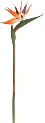 Pure Royal kunsttak strelitzia 85cm oranje - afbeelding 1