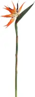 Pure Royal kunsttak strelitzia 95cm oranje - afbeelding 1