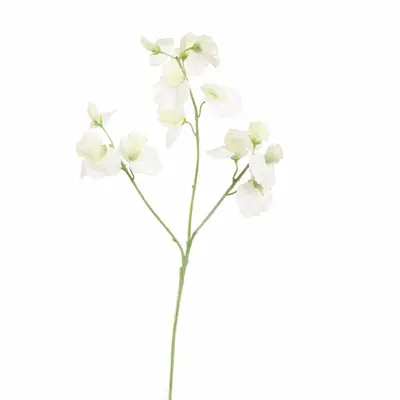 Pure Royal kunsttak sweet pea 66cm crème - afbeelding 1