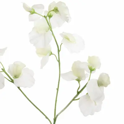 Pure Royal kunsttak sweet pea 66cm crème - afbeelding 2