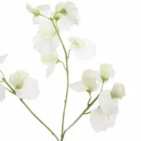 Pure Royal kunsttak sweet pea 66cm crème - afbeelding 2