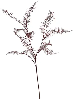 Pure Royal kunsttak varen 75cm rood - afbeelding 1