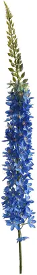 Pure Royal kunsttak vossenstaart 115cm blauw - afbeelding 2