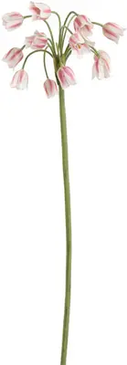 Pure Royal kunsttak zomerklokken 70cm creme, roze - afbeelding 1