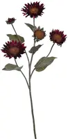 Pure Royal kunsttak zonnebloem 76cm bordeaux - afbeelding 1