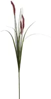 Pure Royal vossenstaart 90cm bordeaux - afbeelding 1
