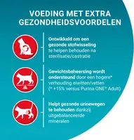 PURINA ONE Sterilcat Rijk aan Kip kattenvoer, kattenbrokjes voor gesteriliseerde/gecastreerde katten, 800g (doos van 4; 3,2kg) - afbeelding 2