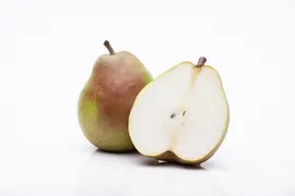 Pyrus communis 'Doyenné du Comice' (Peer) fruitplant 160cm - afbeelding 5