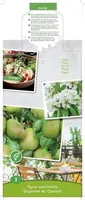 Pyrus communis 'Doyenné du Comice' (Peer) fruitplant 90cm - afbeelding 3
