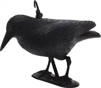 Raaf vogelverschrikker zwart