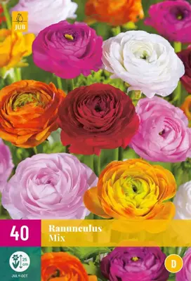 Ranunculus mix 40 stuks - afbeelding 1