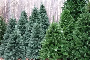 Reguliere kunstkerstbomen