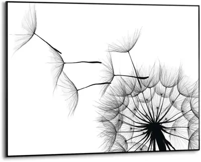 Reinders schilderij hout dandelion 50x70cm black & white - afbeelding 1