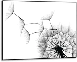 Reinders schilderij hout dandelion 50x70cm black & white - afbeelding 1