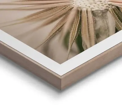 Reinders schilderij hout dandelion heart 40x50cm natural earth - afbeelding 4