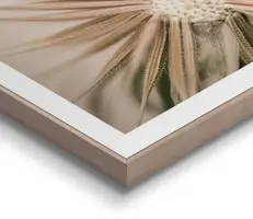 Reinders schilderij hout dandelion heart 40x50cm natural earth - afbeelding 4