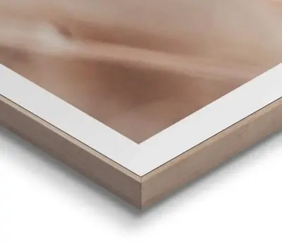 Reinders schilderij hout dried whites 50x70cm botanic - afbeelding 4