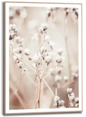 Reinders schilderij hout dried whites 50x70cm botanic - afbeelding 1