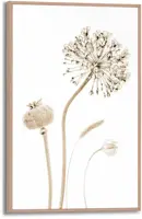Reinders schilderij hout flower stills 20x30cm botanic - afbeelding 1