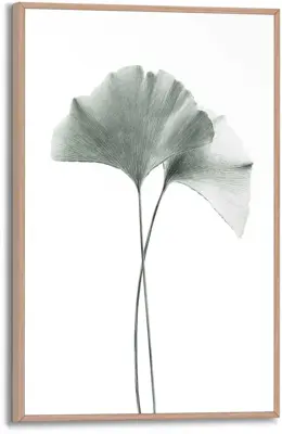 Reinders schilderij hout ginkgo 20x30cm botanic - afbeelding 1
