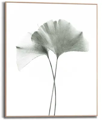 Reinders schilderij hout ginkgo 40x50cm botanic - afbeelding 1