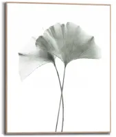 Reinders schilderij hout ginkgo 40x50cm botanic - afbeelding 1