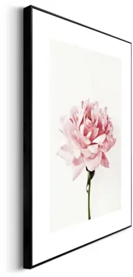 Reinders schilderij hout pink rose 30x40cm sweet beauty - afbeelding 5