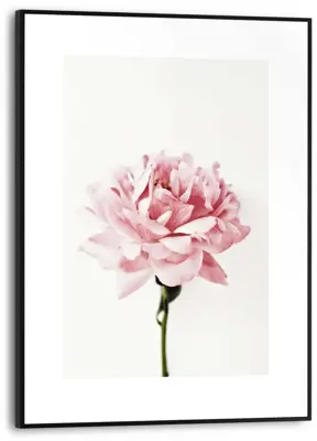 Reinders schilderij hout pink rose 30x40cm sweet beauty - afbeelding 1