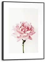 Reinders schilderij hout pink rose 30x40cm sweet beauty - afbeelding 1