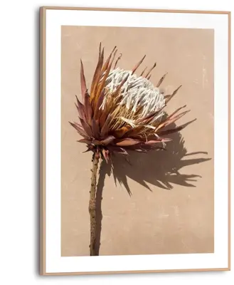Reinders schilderij hout shadow still 30x40cm natural earth - afbeelding 1