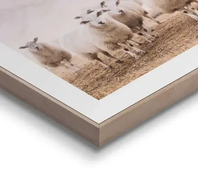 Reinders schilderij hout sheep in field 30x40cm botanic - afbeelding 4