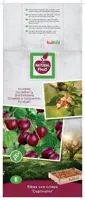 Ribes uva-crispa 'Captivator' (Kruisbes) fruitplant 60cm - afbeelding 3
