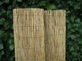 Rieten Tonkinmat 100x ±500 cm kopen?