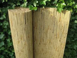 Rietmat ferto 80x600 cm